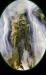 abm_id=463